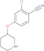 2-chloro-4-(3-piperidinyloxy) benzonitrile