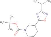 1-Boc-3-(3-isopropyl-1,2,4-oxadiazol-5-yl)piperidine