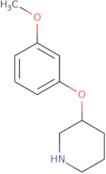 3-(3-Methoxyphenoxy)piperidine