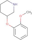 3-(2-Methoxyphenoxy)piperidine