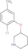 3-(2-Chloro-5-methylphenoxy)piperidine