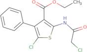 Ethyl 5-chloro-2-(2-chloroacetamido)-4-phenylthiophene-3-carboxylate