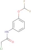 2-Chloro-N-[3-(difluoromethoxy)phenyl]acetamide