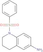 1-(Phenylsulfonyl)-1,2,3,4-tetrahydroquinolin-6-amine