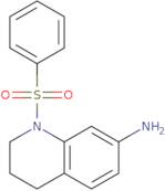 1-(Phenylsulfonyl)-1,2,3,4-tetrahydroquinolin-7-amine