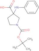 1-(tert-Butoxycarbonyl)-3-(phenylamino)pyrrolidine-3-carboxylic acid