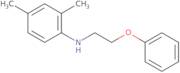 (2,4-Dimethyl-phenyl)-(2-phenoxy-ethyl)-amine