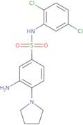 3-Amino-N-(2,5-dichlorophenyl)-4-(pyrrolidin-1-yl)benzene-1-sulfonamide
