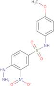 4-Hydrazinyl-N-(4-methoxyphenyl)-3-nitrobenzene-1-sulfonamide