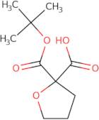 2-[(tert-Butoxy)carbonyl]oxolane-2-carboxylic acid