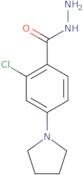 2-Chloro-4-(1-pyrrolidinyl)benzenecarbohydrazide