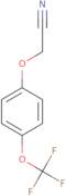 2-[4-(Trifluoromethoxy)phenoxy]acetonitrile