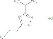 [2-(3-Isopropyl-1,2,4-oxadiazol-5-yl)ethyl]amine hydrochloride