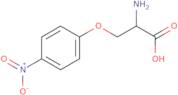 o-(4-Nitrophenyl)-L-serine