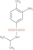 3-Amino-4-methyl-N-(propan-2-yl)benzenesulfonamide