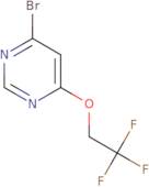 4-Bromo-6-(2,2,2-trifluoroethoxy)pyrimidine