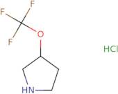 (S)-3-(Trifluoromethoxy)pyrrolidine hydrochloride