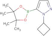 1-cyclobutyl-pyrazole-5-boronic acid pinacol ester