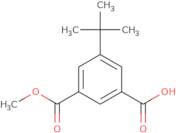 5-tert-Butyl-isophthalic acid monomethyl ester