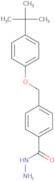 4-(4-tert-Butylphenoxymethyl)benzohydrazide