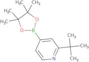 Pyridine, 2-(1,1-dimethylethyl)-4-(4,4,5,5-tetramethyl-1,3,2-dioxaborolan-2-yl)-