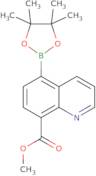 Methyl 5-(4,4,5,5-tetramethyl-1,3,2-dioxaborolan-2-yl)quinoline-8-carboxylate