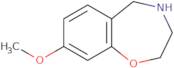 8-Methoxy-2,3,4,5-tetrahydro-1,4-benzoxazepine