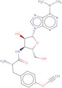 O-Propargyl-puromycin (OPP)