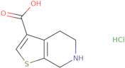 4H,5H,6H,7H-Thieno[2,3-c]pyridine-3-carboxylic acid hydrochloride