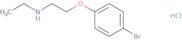 [2-(4-Bromophenoxy)ethyl](ethyl)amine hydrochloride