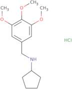 Cyclopentyl-(3,4,5-trimethoxy-benzyl)-amine hydrochloride