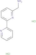 [6-(Pyridin-2-yl)pyridin-2-yl]methanamine dihydrochloride