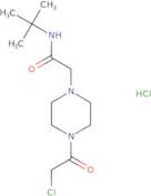 N-tert-Butyl-2-[4-(2-chloroacetyl)piperazin-1-yl]acetamide hydrochloride
