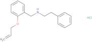 (2-Phenylethyl)({[2-(prop-2-en-1-yloxy)phenyl]methyl})amine hydrochloride