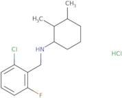 N-[(2-Chloro-6-fluorophenyl)methyl]-2,3-dimethylcyclohexan-1-amine hydrochloride