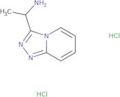 1-([1,2,4]Triazolo[4,3-a]pyridin-3-yl)ethanamine Dihydrochloride