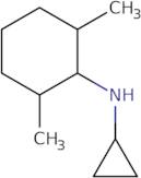 N-Cyclopropyl-2,6-dimethylcyclohexan-1-amine