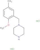 1-[(2-Methoxy-5-methylphenyl)methyl]piperazine dihydrochloride