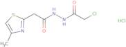 N'-(2-Chloroacetyl)-2-(4-methyl-1,3-thiazol-2-yl)acetohydrazide hydrochloride