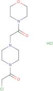 2-Chloro-1-{4-[2-(morpholin-4-yl)-2-oxoethyl]piperazin-1-yl}ethan-1-onehydrochloride