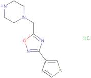 1-{[3-(Thiophen-3-yl)-1,2,4-oxadiazol-5-yl]methyl}piperazine hydrochloride