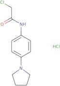 2-Chloro-N-(4-pyrrolidin-1-ylphenyl)acetamide hydrochloride