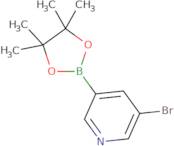 5-Bromo-3-pyridineboronic acid pinacol ester