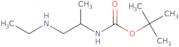 tert-Butyl N-[1-(ethylamino)propan-2-yl]carbamate