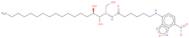 c6 NBD-phytosphingosine