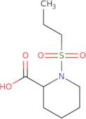 1-(Propane-1-sulfonyl)piperidine-2-carboxylic acid