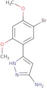 3-(5-Bromo-2,4-dimethoxyphenyl)-1H-pyrazol-5-amine