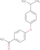 Ethyl 3-amino-3-[4-(benzyloxy)phenyl]propanoate hydrochloride