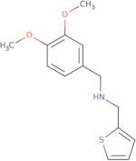 [(3,4-Dimethoxyphenyl)methyl](2-thienylmethyl)amine