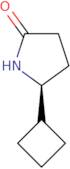 (5S)-5-Cyclobutylpyrrolidin-2-one